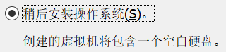 VMware Workstation 虚拟机 安装 Windows 10插图3