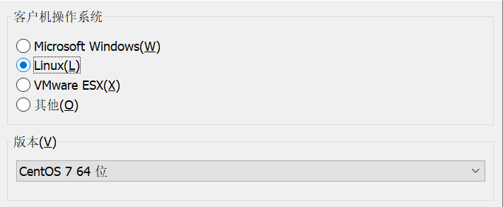 VMware Workstation 安装 Centos 7 64位插图4