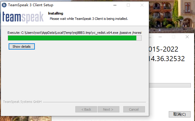 TeamSpeak3客户端安装插图7
